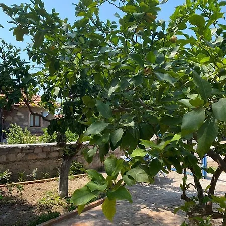Litri Butik Nocleg ze śniadaniem Çeşme