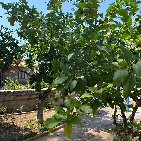 Litri Butik 別荘 Çeşme